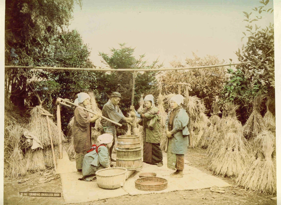 Grinding Rice Albumen