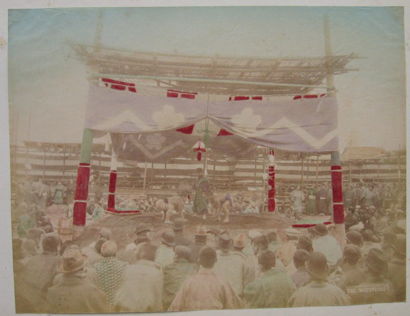 Wrestling sumo albumen